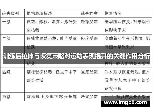 训练后拉伸与恢复策略对运动表现提升的关键作用分析
